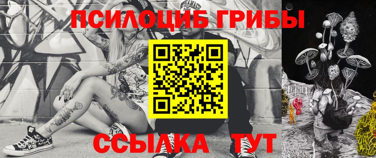 Псилоцибиновые грибы Cubensis Карасук