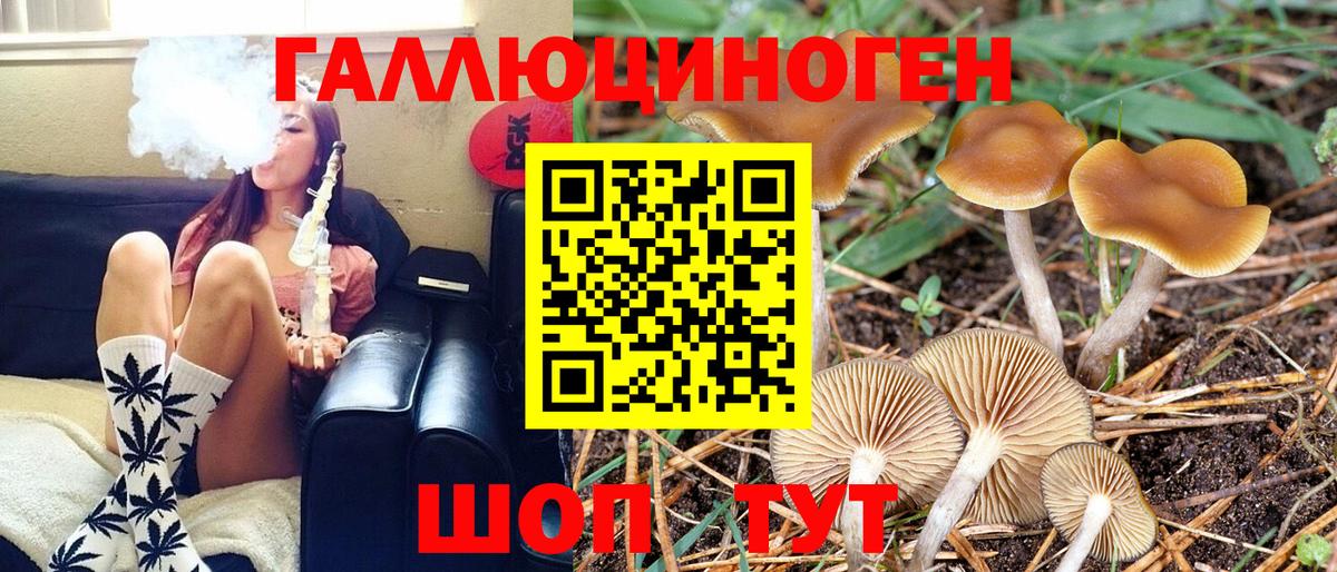 Галлюциногенные грибы Psilocybe  Вход с VPN  Псилоцибиновые грибы Psilocybe  Карасук 